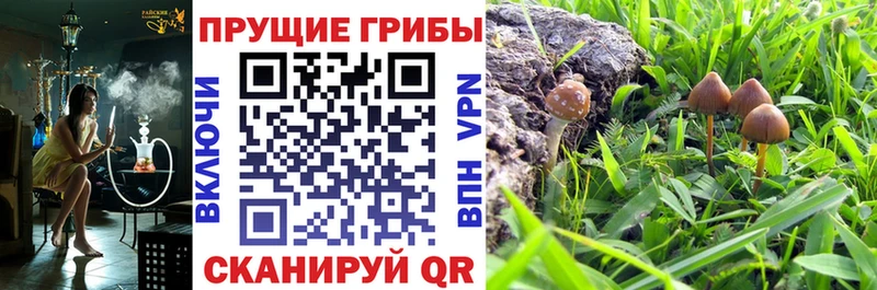 МЕГА рабочий сайт  продажа наркотиков  Кунгур  Псилоцибиновые грибы прущие грибы 